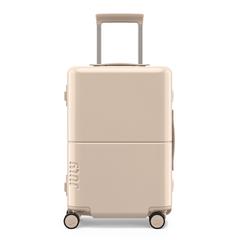 Carry On Trunk
